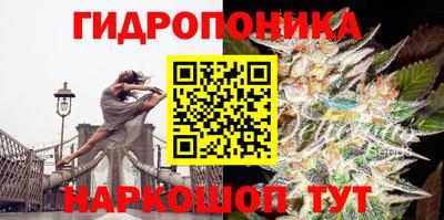 2c-b Кимры