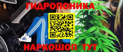 2c-b Кимры