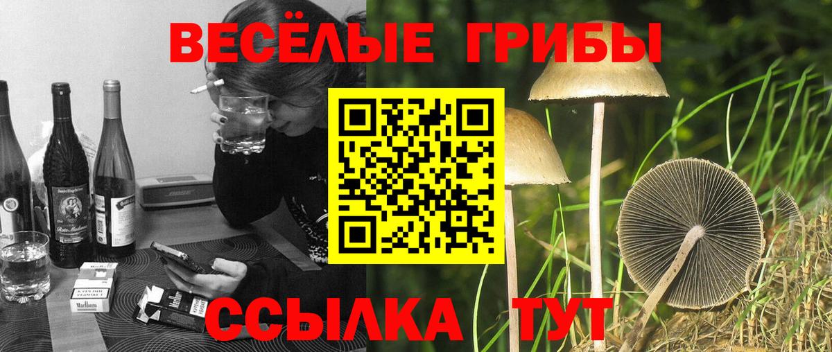 Псилоцибиновые грибы ЛСД  Галлюциногенные грибы MAGIC MUSHROOMS  Вход с VPN  Саки 